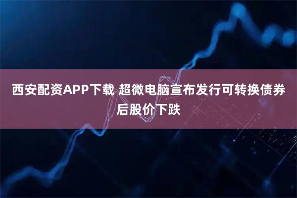 西安配资APP下载 超微电脑宣布发行可转换债券后股价下跌